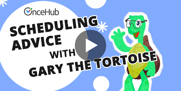 scheduling-advice-with-Gary-the-tortoise-thumb